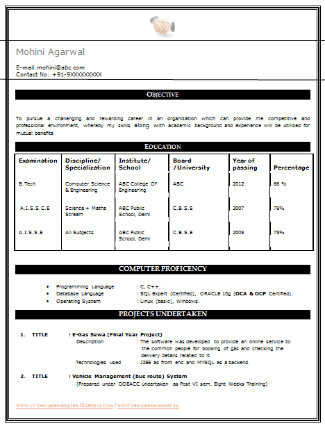 Computer technology resume format